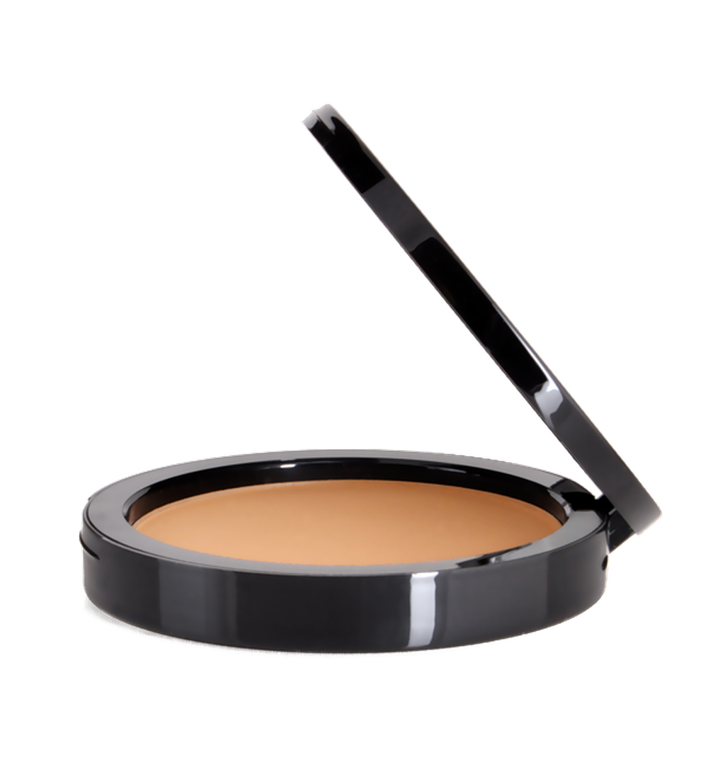 Dual Blend Powder Foundation - Chestnut